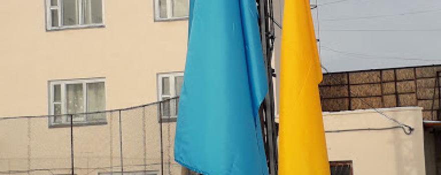 "Amid" mūz korty