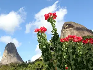 Pracinha Municipal