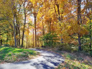 Goddard Park