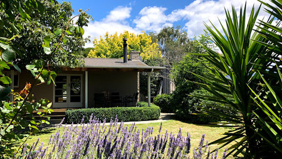 Gibson Bridge Vineyard