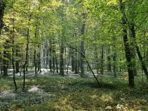 Adventure Park Lake Bukovniško