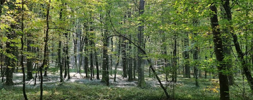 Adventure Park Lake Bukovniško