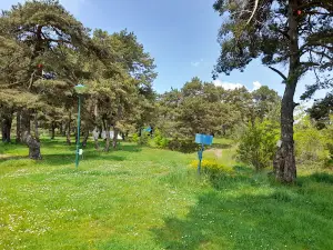 Niksa Campsite