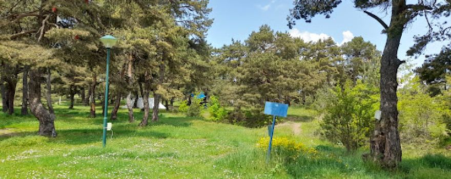 Niksa Campsite