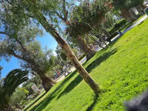 Parque Schneider