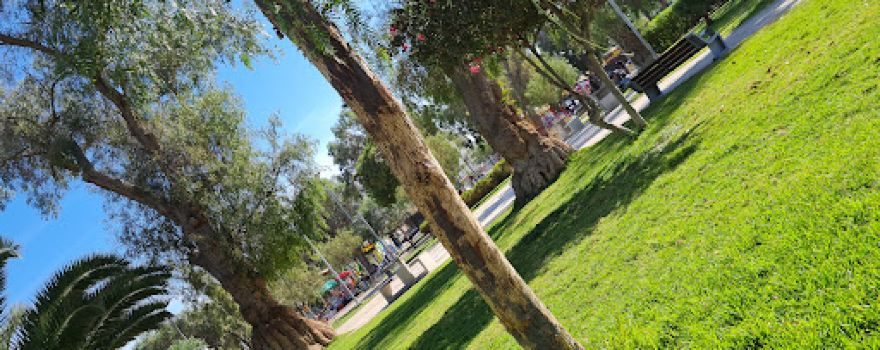 Parque Schneider