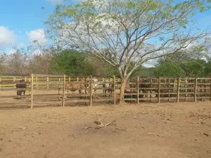 el Retorno Park
