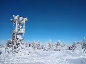 Backöfele