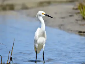 Fish Haul Beach Park