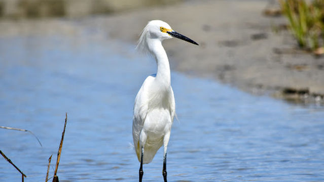 Fish Haul Beach Park