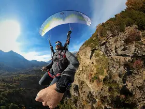 Acción Pirineos