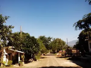 Jardin de Los Tecomates