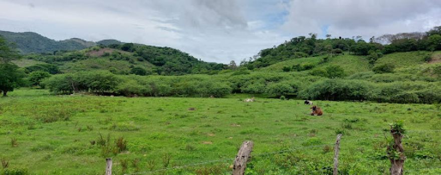 Cerro El Chicarron