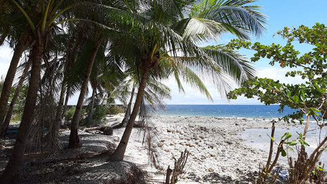 SouthSeas Beach Resort and Dive Center