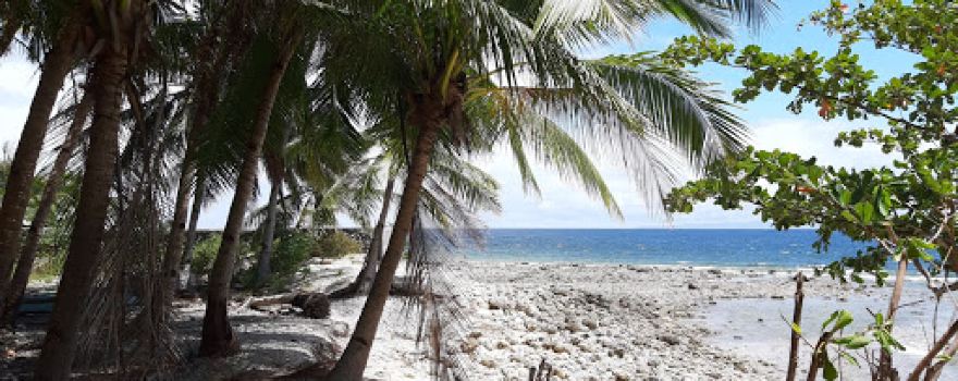 SouthSeas Beach Resort and Dive Center