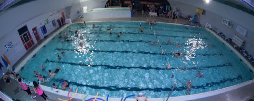 Swimming Dynamics Chieri