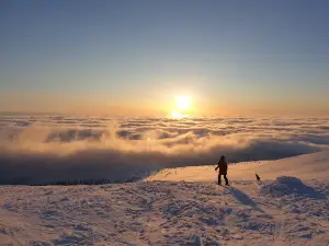 Ylläs - huippu