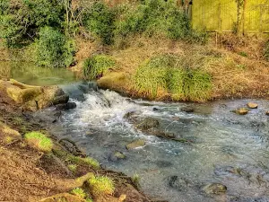 Welland Park