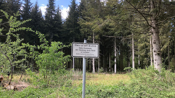 Biotope Jettingen Municipal Forrest (Kurze Mark)
