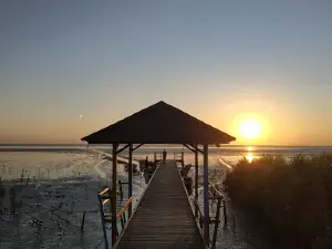Ekowisata Mangrove Pagatan Besar