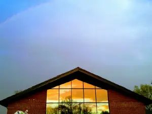 Vineyard Christian Fellowship