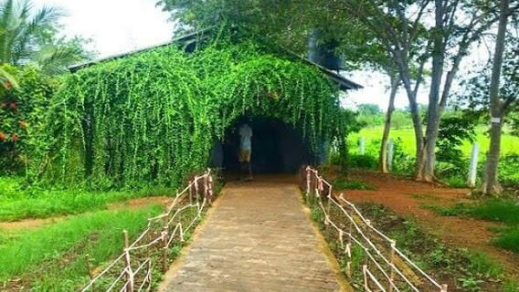 Madunagala Hot Water Spring