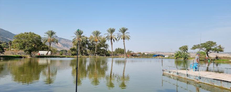 Fishing-Park - דג בכפר