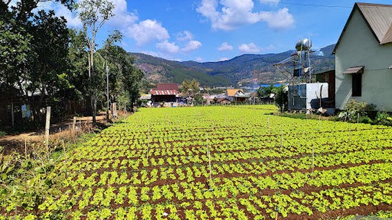 Duc Trong District