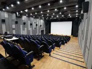 Kino Kosmos
