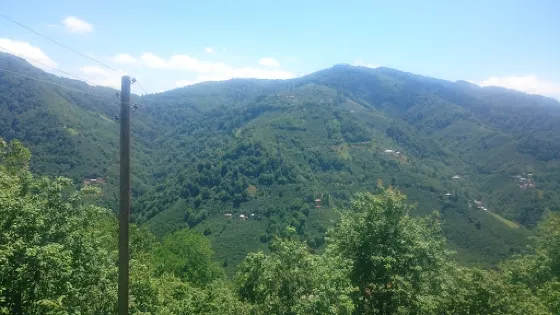 Esat Çiftliği Köyü Muhtarlığı