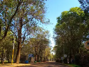 Sarmiento Carcaraña Park