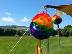 Top Of The Woods