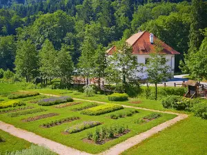 Žiče Charterhouse