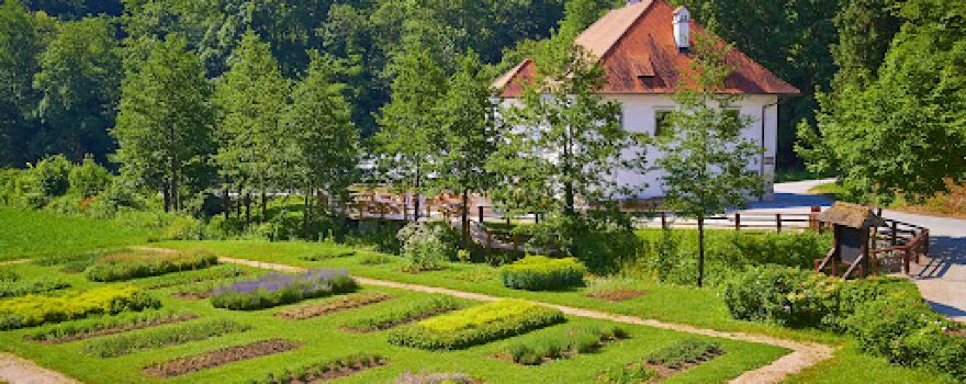 Žiče Charterhouse