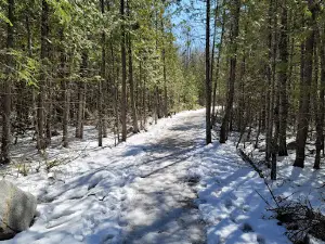 Ancient Beach Trailhead
