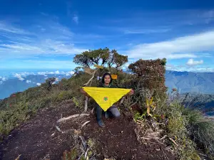 Mt. Leuser
