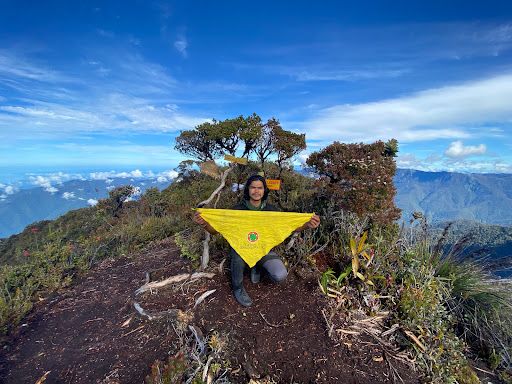 Mt. Leuser