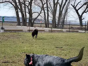 Walnut Dog Park