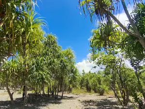 Pantai Wisata Igom Voij