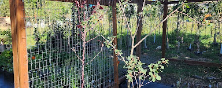 Native Woods Garden Center