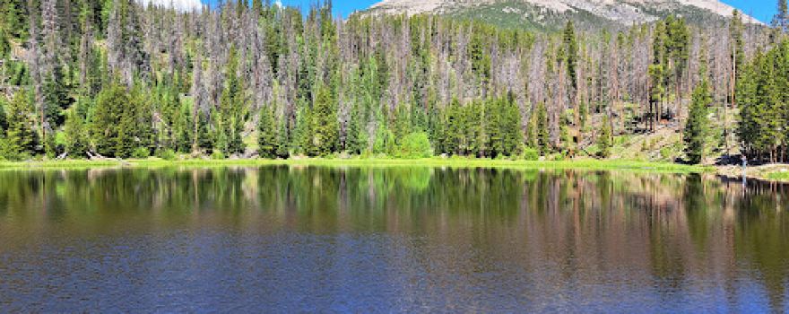 Lily Pad Lake Trail Head