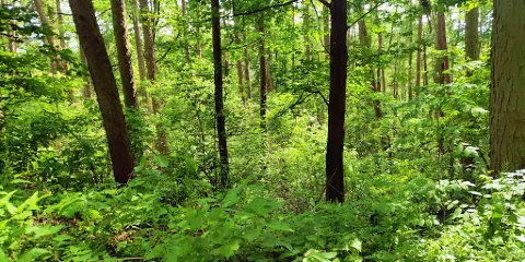 Glasmuseum Bad Driburg
