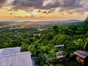 Bacsil Viewdeck Food House