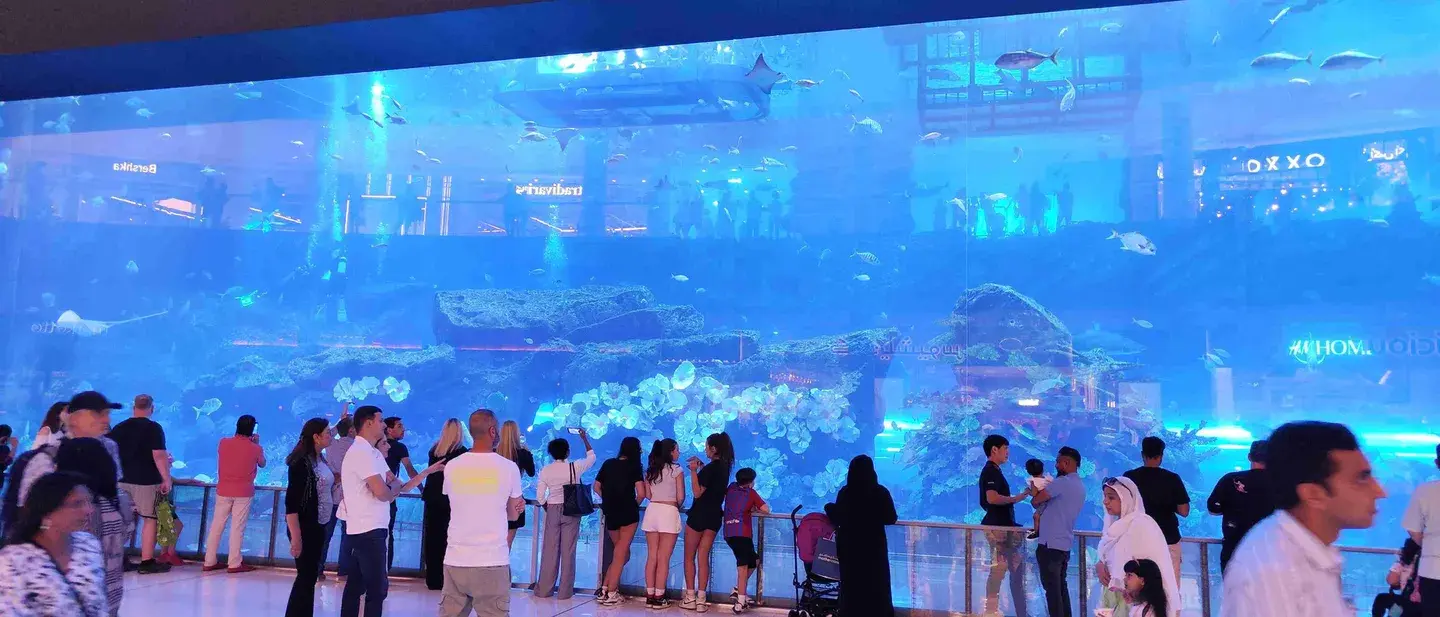 5_杜拜水族館和水下動物園