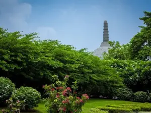 Popular Spring Outings in Bihar