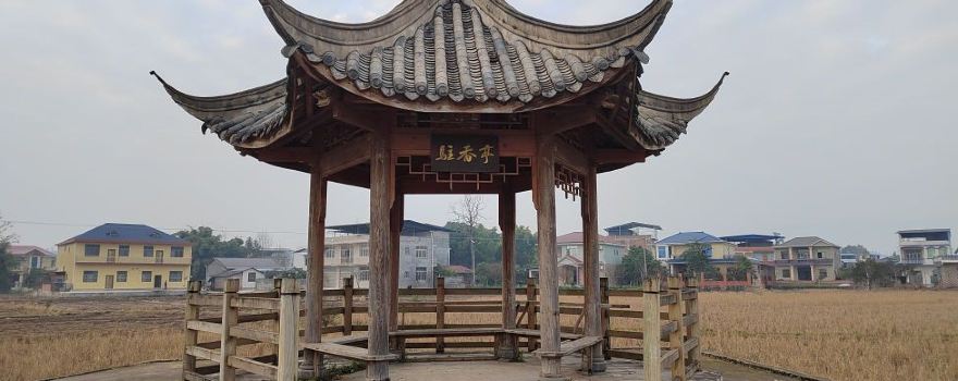zhu xiang ting