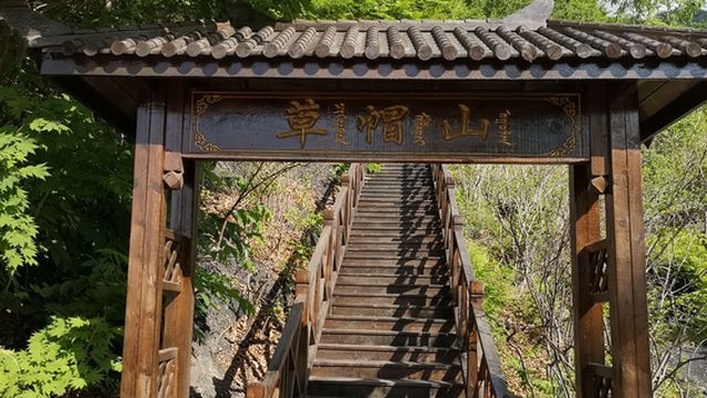 cao mao shan feng jing qu