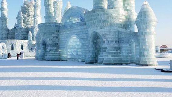 liao yuan bing xue da shi jie