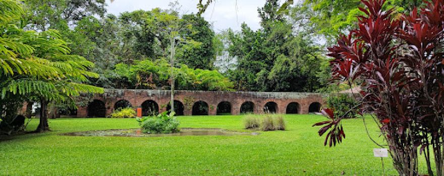 Museum Sugarcane