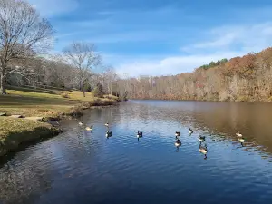 David Crockett State Park